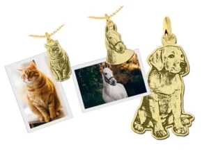 Blog - Dierendag Afb
