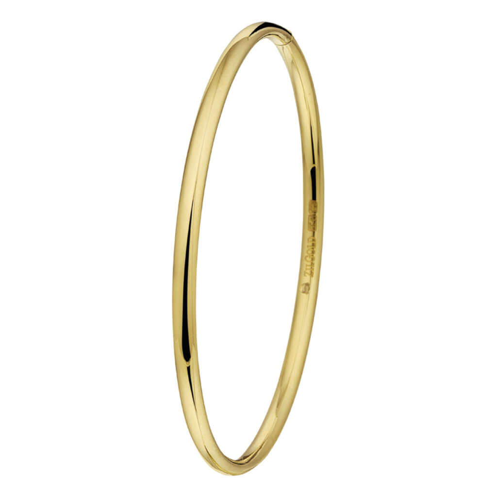bangle scharnier massief ovale buis 3,0 mm