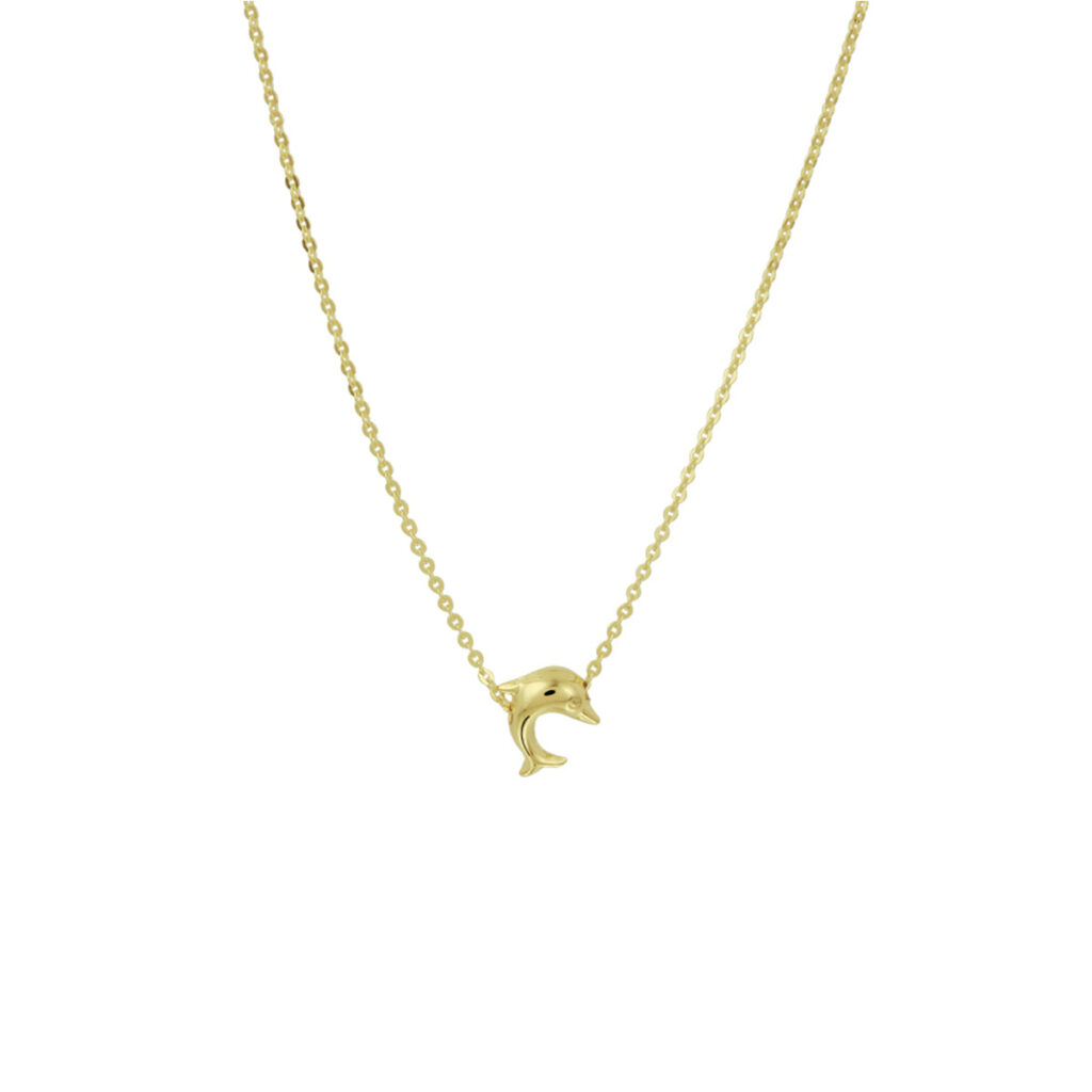collier dolfijn 38 - 40 cm
