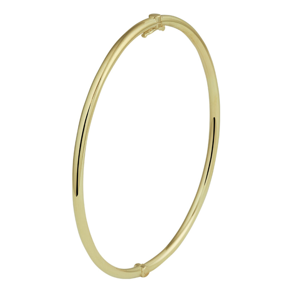 bangle scharnier massief ronde buis 56 x 2,5 mm