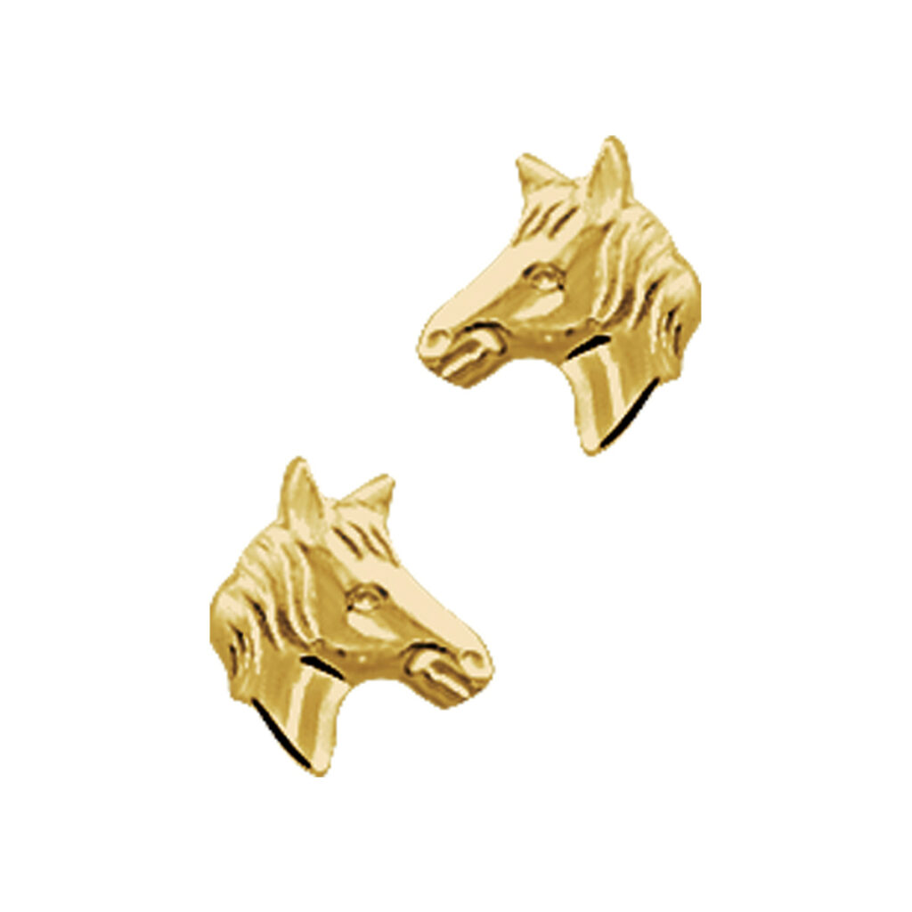 oorknoppen paardenhoofd