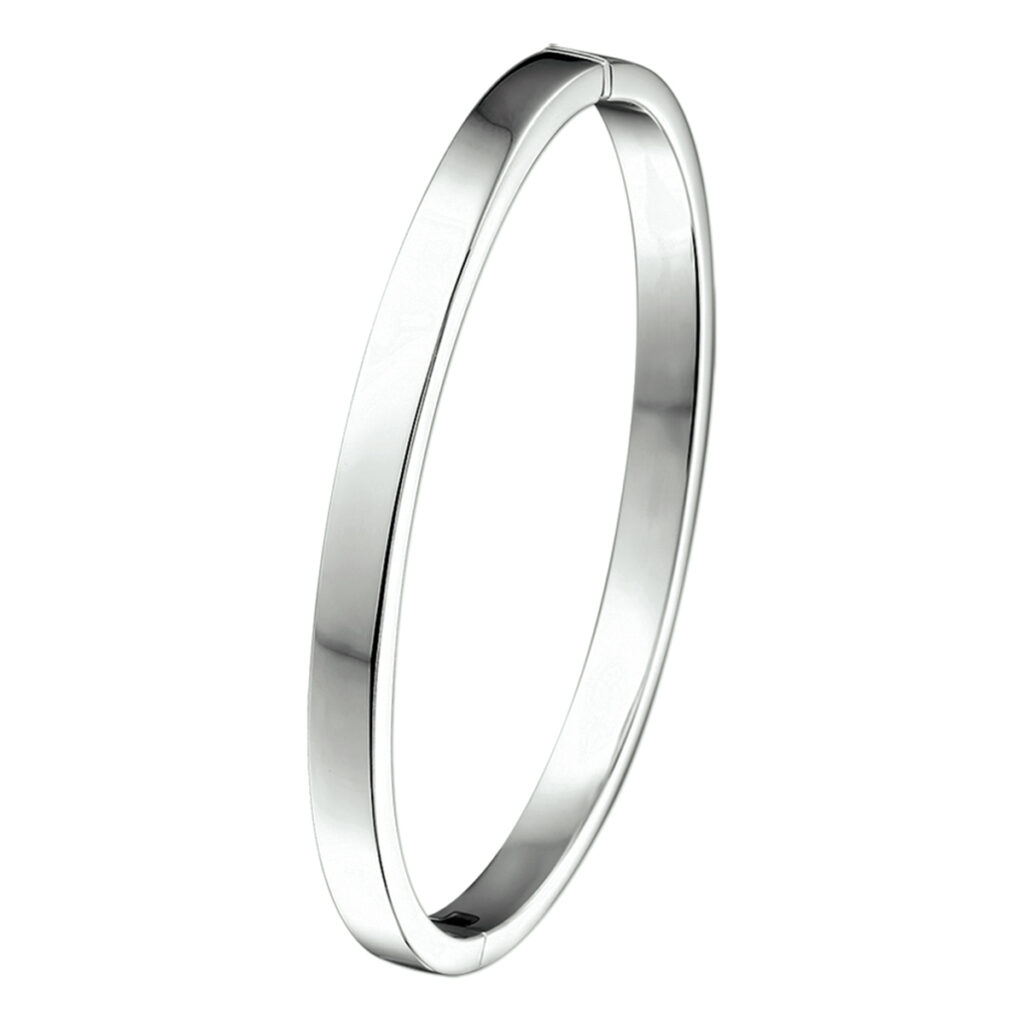 bangle scharnier massief vlakke buis 5 x 61 mm