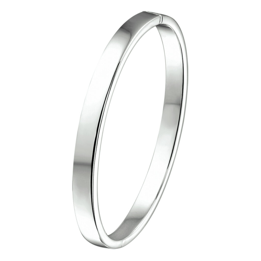 bangle scharnier massief vlakke buis 6 x 61 mm