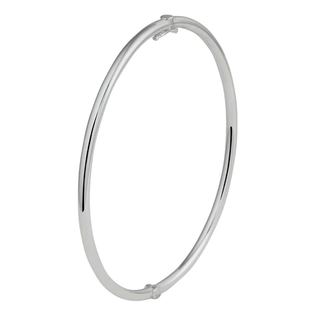 bangle scharnier massief ronde buis 2,5 mm