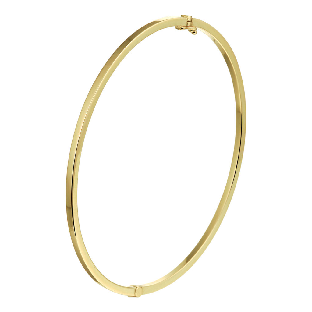 bangle scharnier massief vlakke buis 2,0 mm