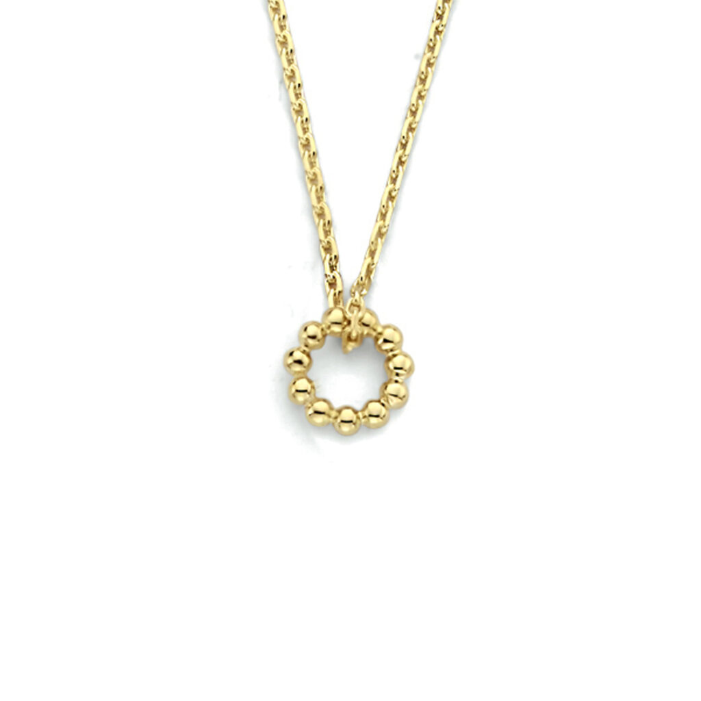 collier rond 41 + 4 cm