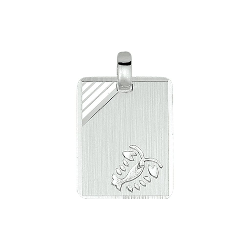 graveerhanger sterrenbeeld gediamanteerd