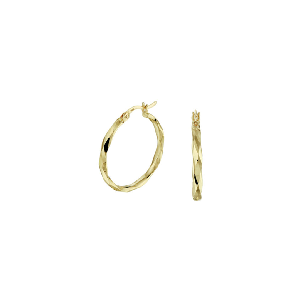 oorringen gediamanteerd 2,5 mm