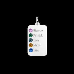 Zilveren Dog Tag met Vijf Geboortestenen en Namen Names4ever