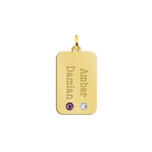 Gouden Dog Tag met Twee Geboortestenen Names4ever