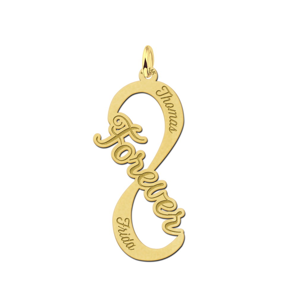 Names4ever Forever Infinity Hanger van Goud - Graveer Sieraad