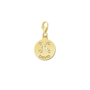 Names4ever Zodiac-Bedel Vissen in massief goud GBS012