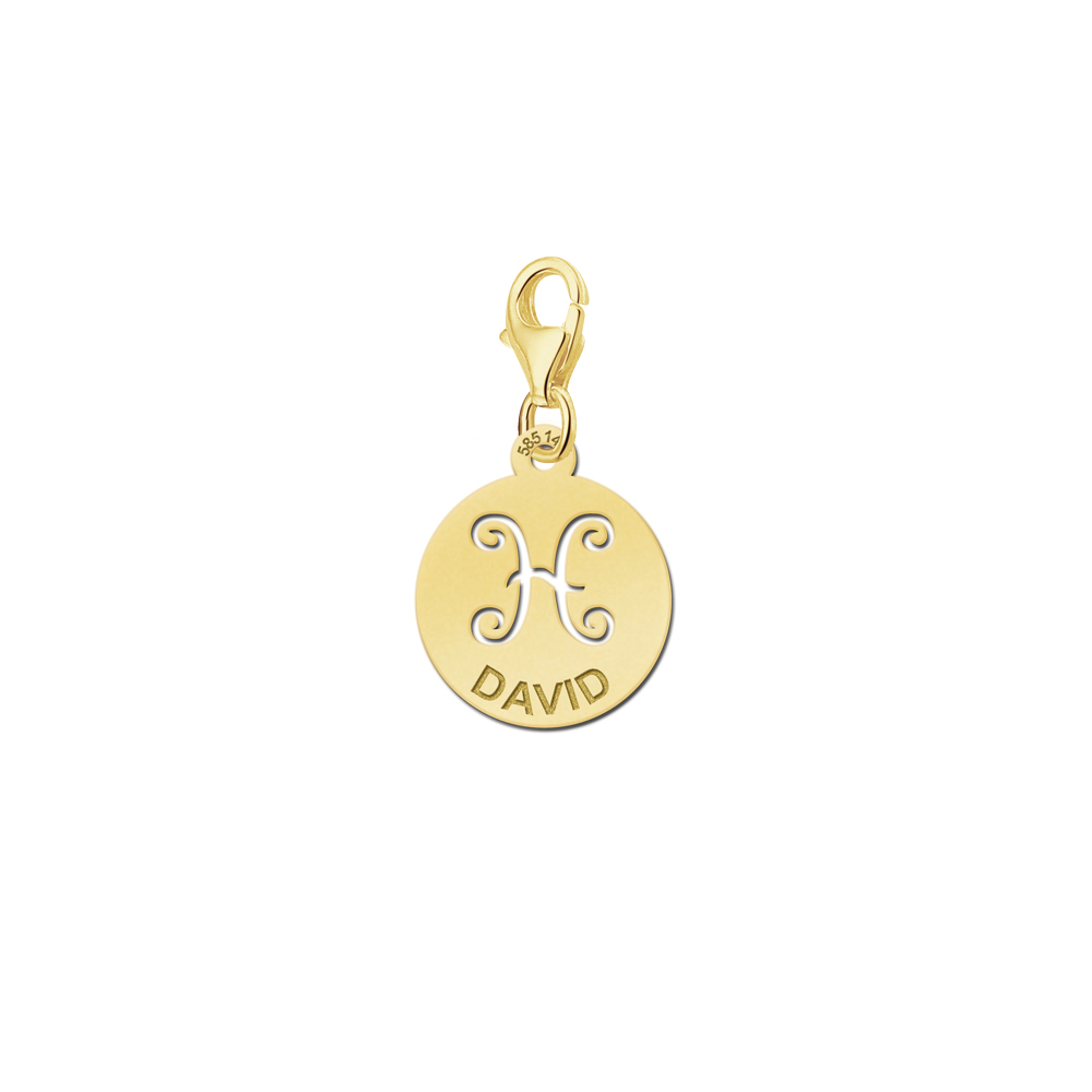 Names4ever Zodiac-Bedel Vissen in massief goud GBS012