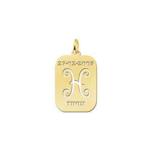 Names4ever Astrologie Vissen Goud Hanger GHS012