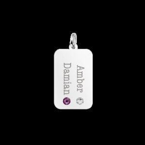 Zilveren Dog Tag met Twee Geboortestenen en Namen Names4ever