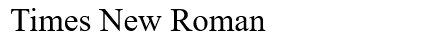 Times New Roman